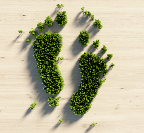 Footprint made of shrubs